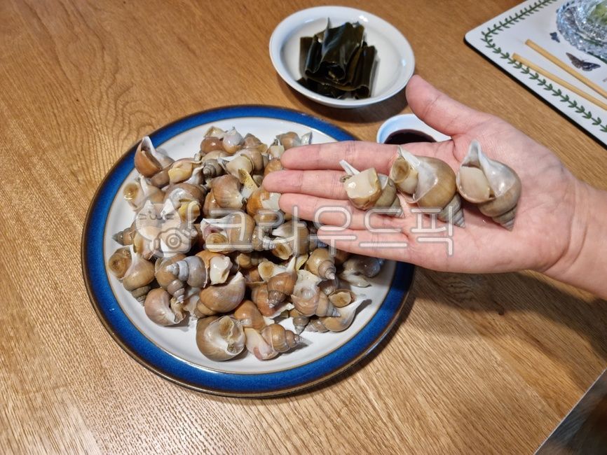 백골뱅이,골뱅이,해산물,제철해산물,어패류