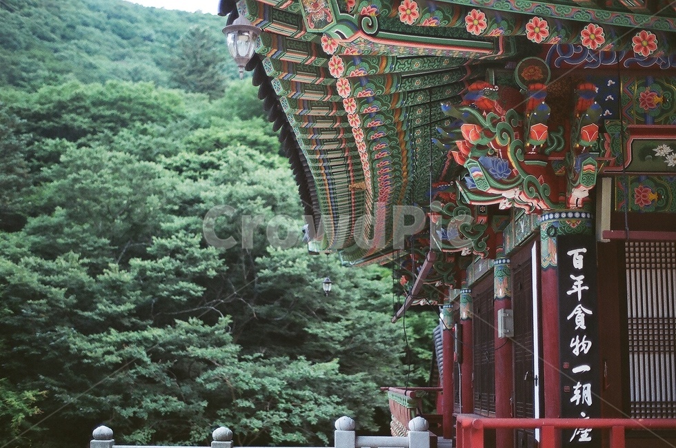 절,건물,건축물,architecture,building,temple,단청,koreanstylehouse,한옥,필름,film