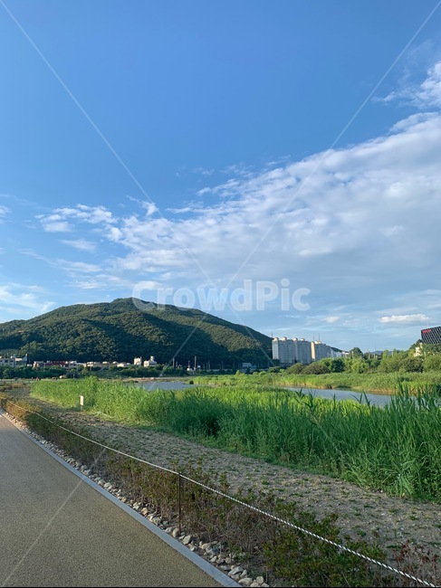 자연,공원,날씨,봄,spring