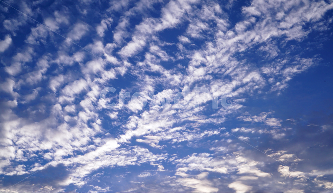 파란,하얀,하늘,구름,양떼구름,여름하늘,여름냄새,자연,풍경,nature,landscape,outdoors,옥외,sky,azure sky,푸른 하늘