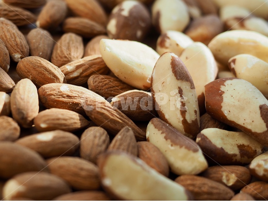 브라질너트,견과류,웰빙,음식,갈색,유기농,brazilnut,nuts,wellbeing,food,brown,organic,아몬드,너트,almond,nut,콩류,견과류,beans,pulse,nuts,dry fruits
