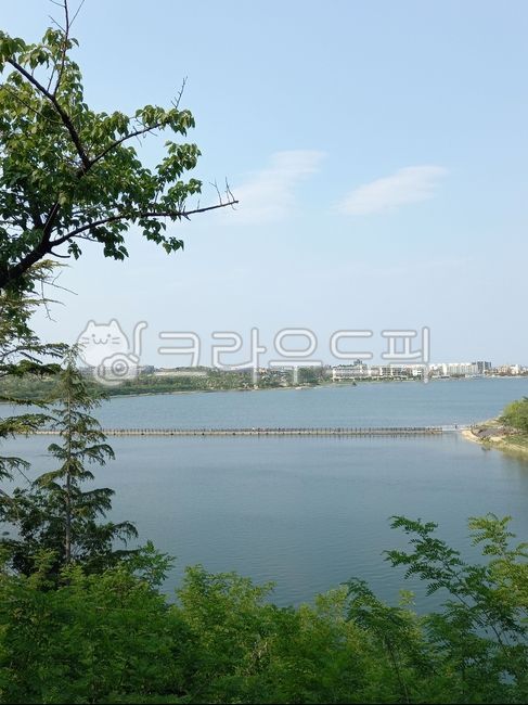 sky,nature,tree,water,Yeongnang Lake,outdoors,Yeongnang Lake road,panoramic view,bridge,lake