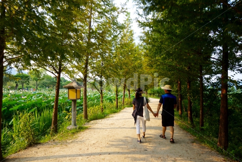 부부,연인,여름산책,숲길,여름,부모님,자연,풍경,nature,landscape,한국자연풍경,한국자연경관,korea nature landscape,사람,인물,인간,human,person,연인,커플,사랑,lover,couple,가족,패밀리,family,outdoors,옥외,garden,정원,arbour,정자,path,통로