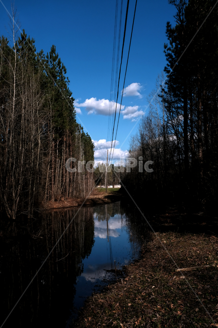 맑은하늘,나무,강,구름,전깃줄,자연,풍경,nature,landscape,outdoors,옥외,land,땅,water,물