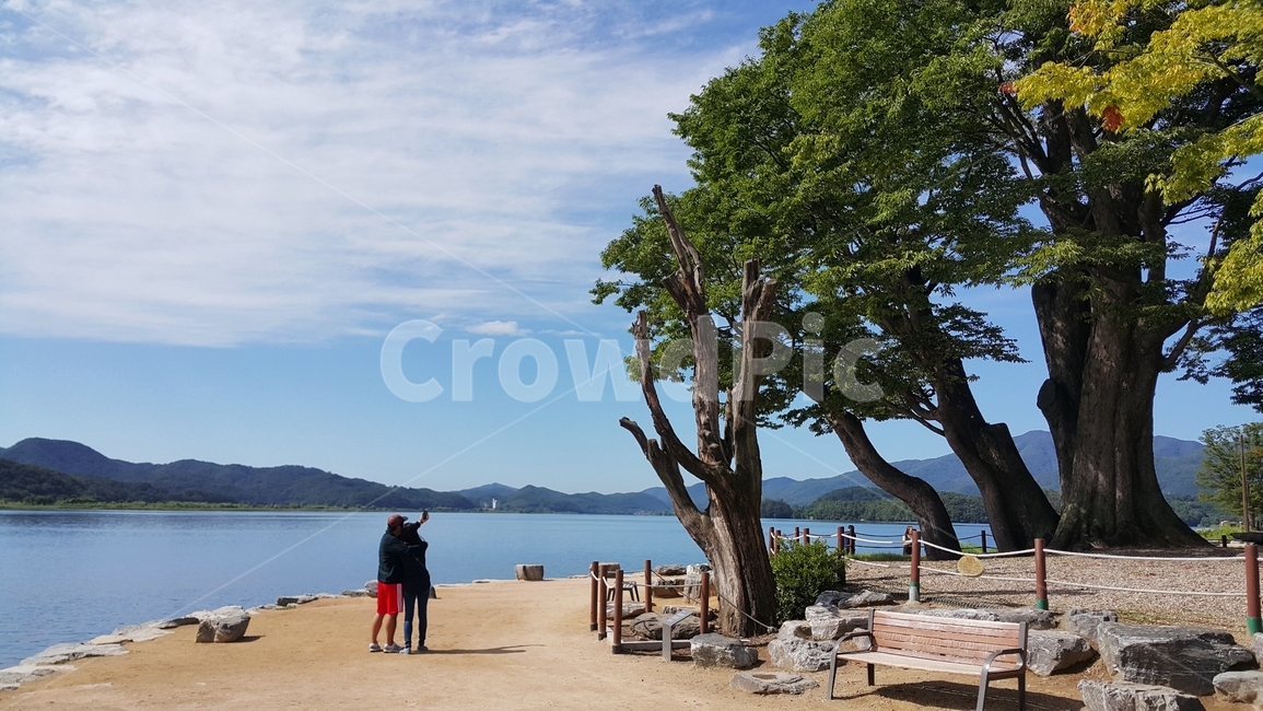 wood,나무,human,인간,person,사람,호수,두물머리,자연,풍경,nature,landscape