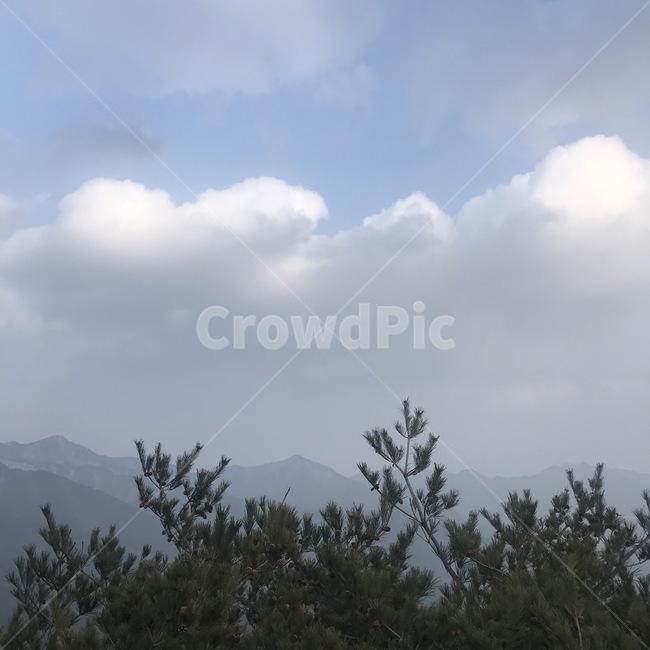 하늘,구름,날씨,나무,뷰,풍경
