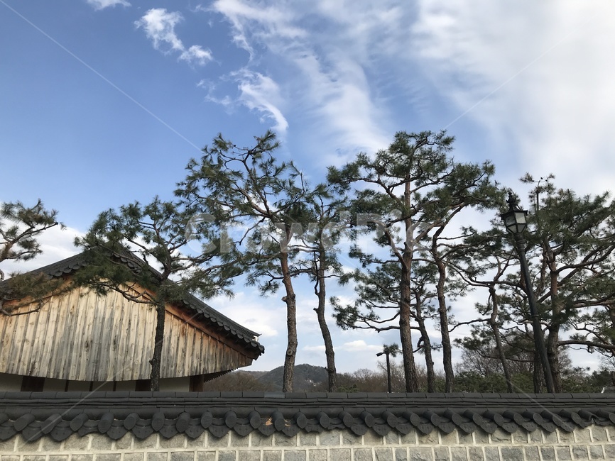 한옥,풍경,나무,하늘,한옥마을,기와,구름