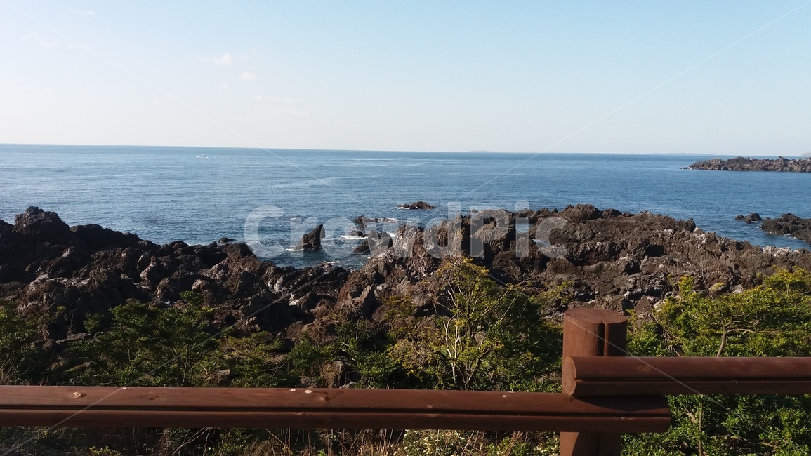 제주도,바다,하늘,여름,자연