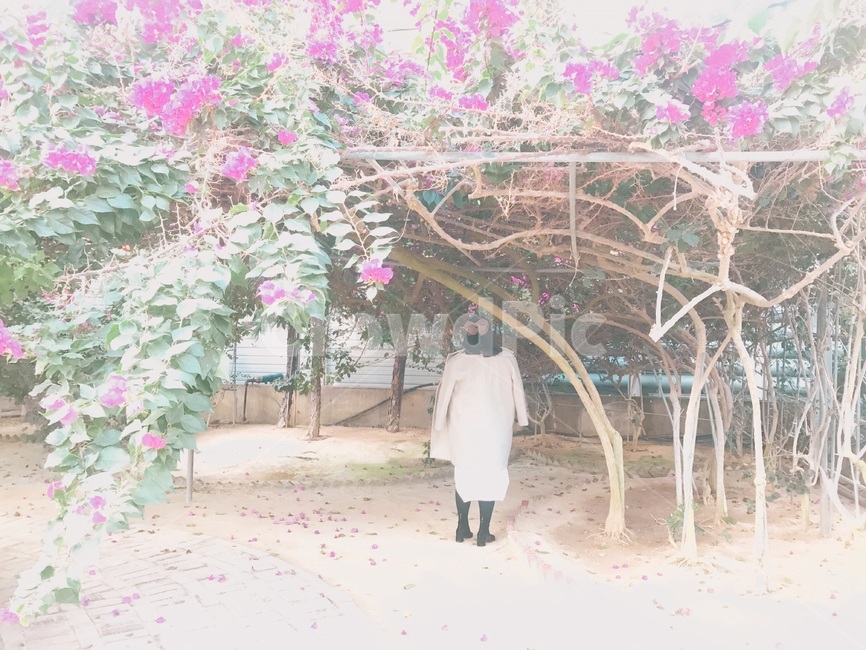 여자뒷모습,여자,뒷모습,꽃,식물,식물원,세계꽃
