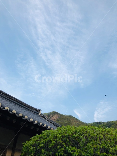 한옥,여백의미,한국적,자연친화적,하늘,구름,전통가옥,한국의미,배산임수,산,운치,자연,koreanstyle,koreanhouse,nature,natural,기와지붕,기와