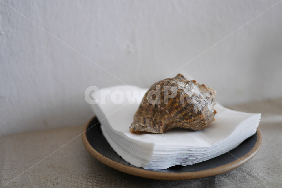 카페,내부,인테리어,조명,냅킨