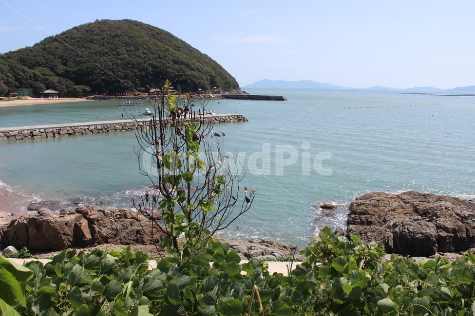 바다,나무,초록,파랑,풍경,자연,풍경,nature,landscape,promontory,곶,outdoors,옥외,water,물,land,땅