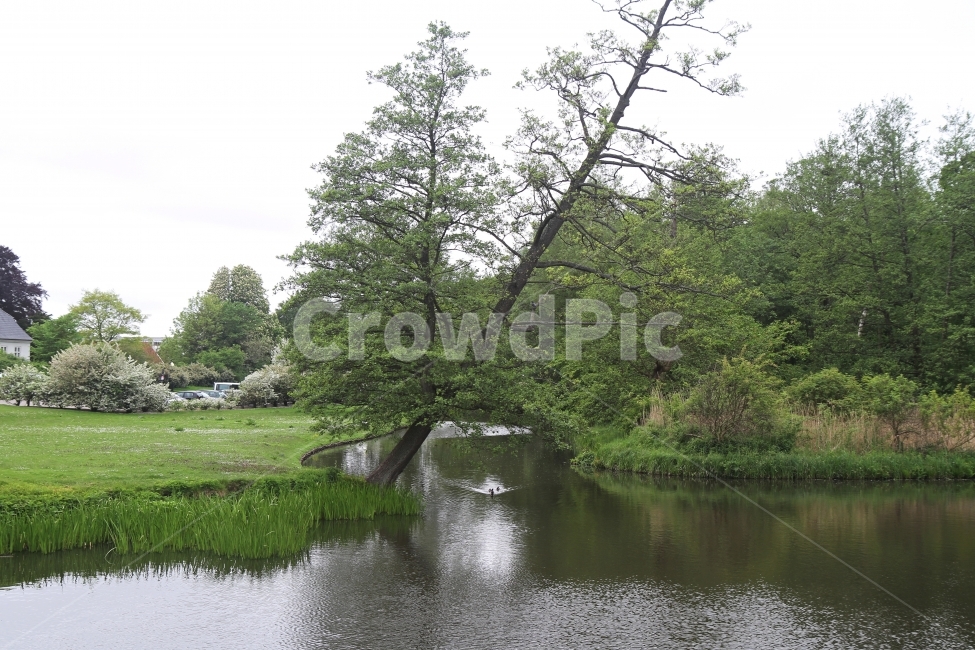 풍경사진,노르웨이풍경,호수,자연,공원,감성사진,자연,풍경,nature,landscape,한국자연풍경,한국자연경관,korea nature landscape,water,물