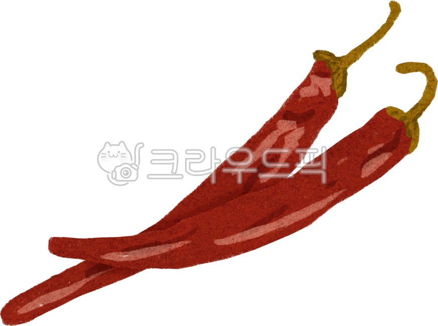 Red pepper,dried red pepper,dried red pepper,ingredients,Korean food ingredients,kimchi ingredients,kimchi ingredients,red pepper hand drawing,kimchi preparation,kimchi preparation