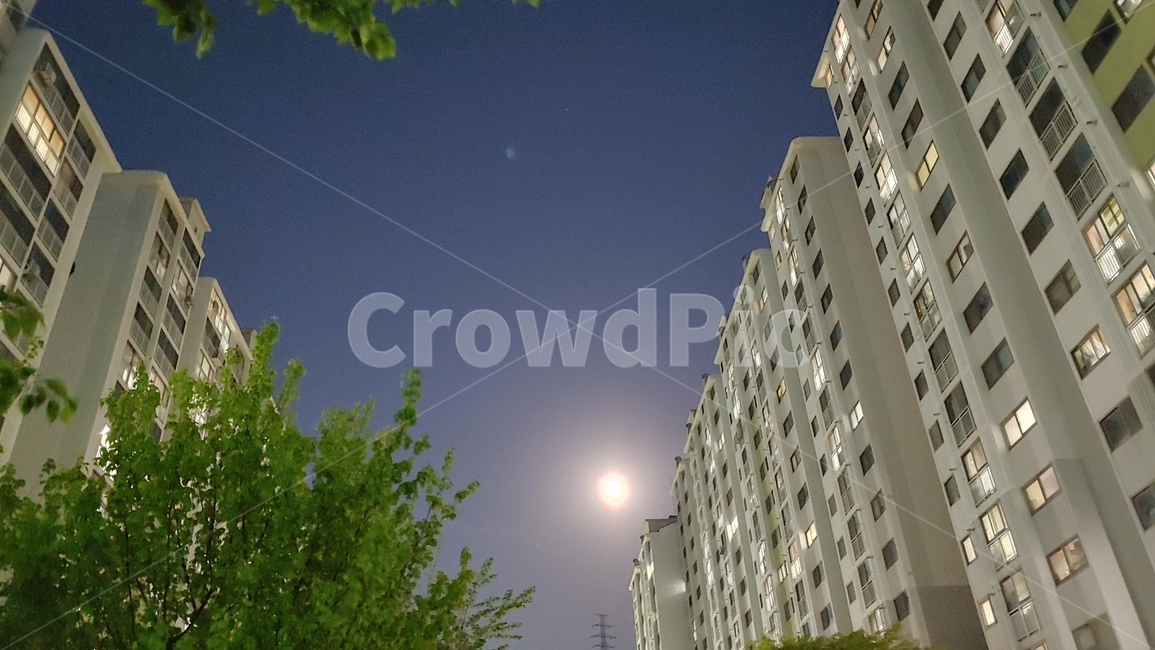 아파트,건물,밤,달,하늘,야경,밤,풍경,nightscape,night,landscape,도시,city,한국도시풍경,한국도시경관,korea cityscape,outdoors,옥외,nature,자연,office building,사무실 건물,building