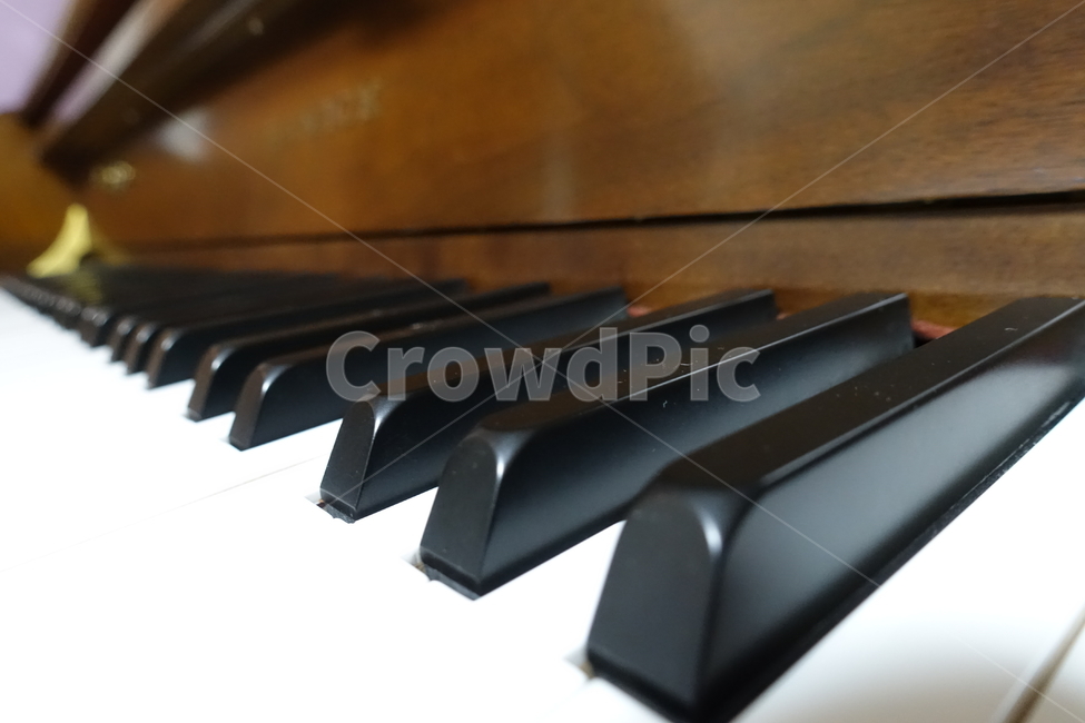 피아노,피아노건반,건반,흑건,백건,악기,음향기기,musical instrument,musical equipment
