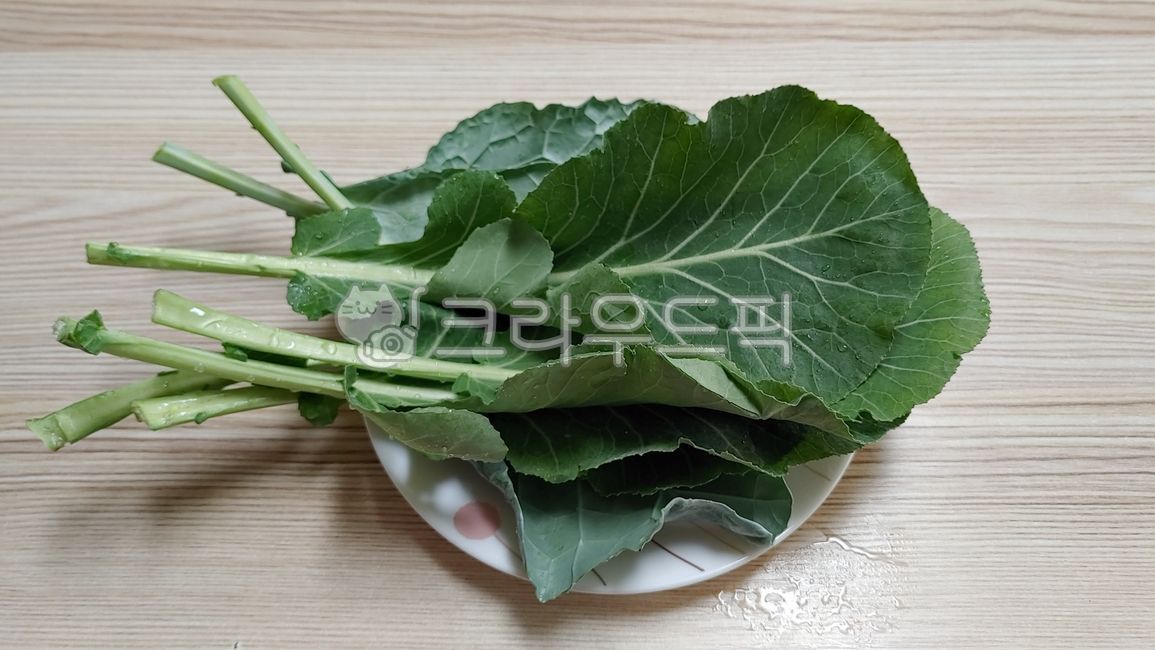 음식, food, leaf, 케일, kale, 사진,이미지,일러스트,캘리그라피 - 쇼롱작가