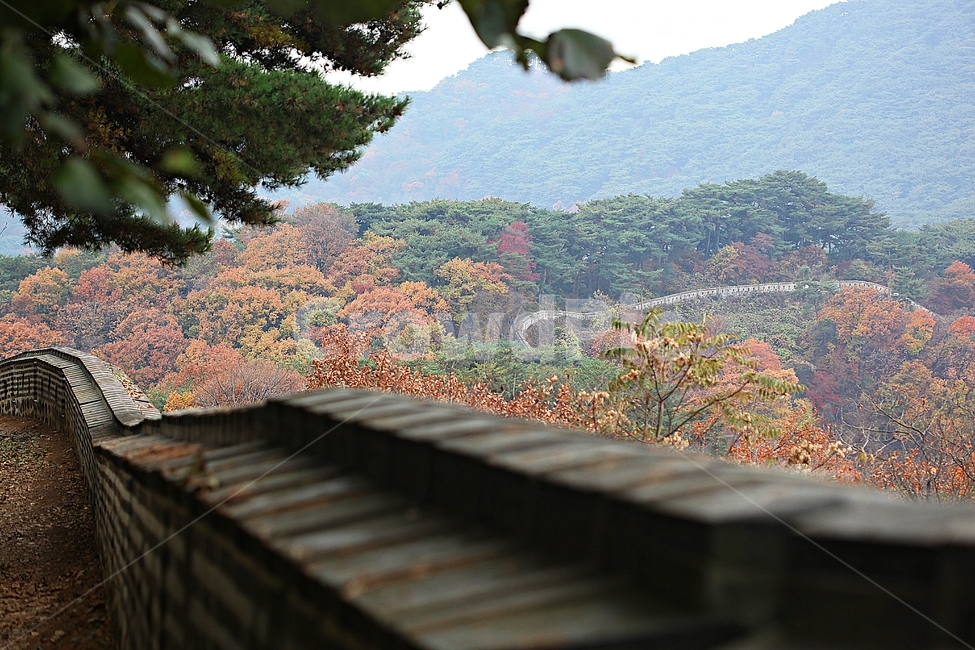 남한산성,성,성곽,단풍,낙엽,길,둘레길,숲,숲길,담,돌담,가을,자연,풍경,벽,울긋불긋,산성,식물,가을,계절,fall,autumn,season