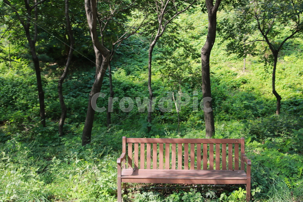 하늘공원,벤츠,풍경,숲,나무,휴식,힐링,rest,relaxation,healing