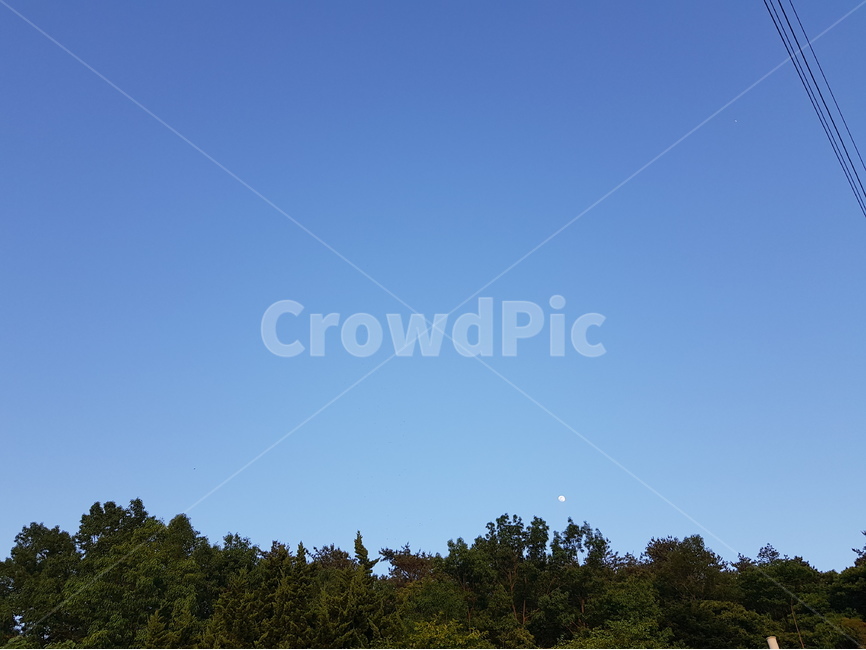 하늘,깨끗한하늘,산,배경이미지,배경,그린,초록,자연,시골하늘,clearsky,day,greencolor,growth,lowangleview,nature,nopeople,outdoors,plant,scenicsnature,자연,풍경,nature,landscape,옥외