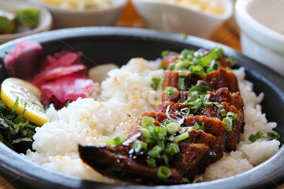 장어요리,장어덮밥,한식,일식,우나동,장어,덮밥요리,음식,식재료,요리,food,cook,meal,dishes,food reserves,한식,한국음식,한국요리,korean food,korean dishes,korean meal,korean cook