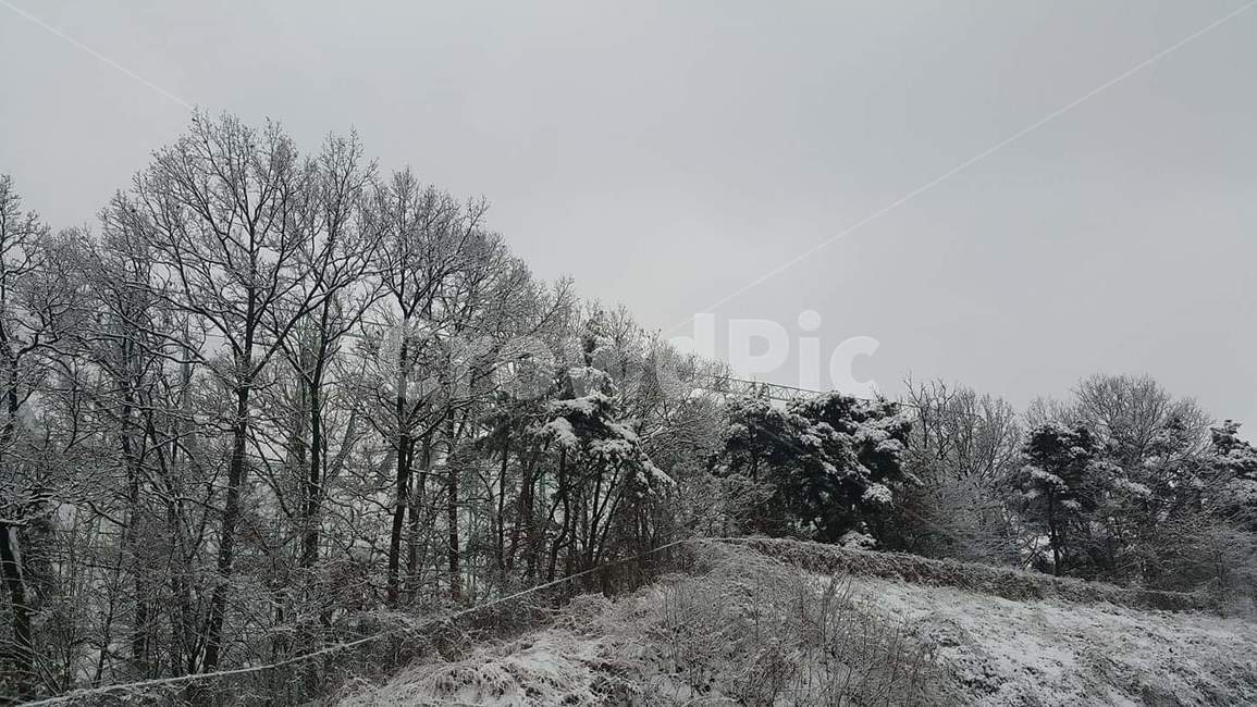 눈,자연,폭설,snow,nature,frost
