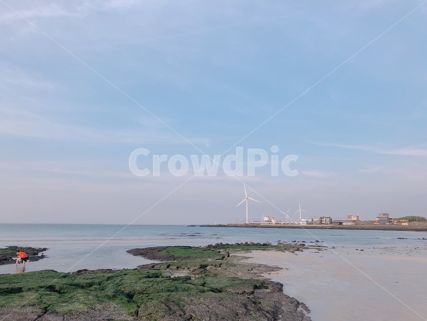 제주도,바다,하늘,해안가,자연