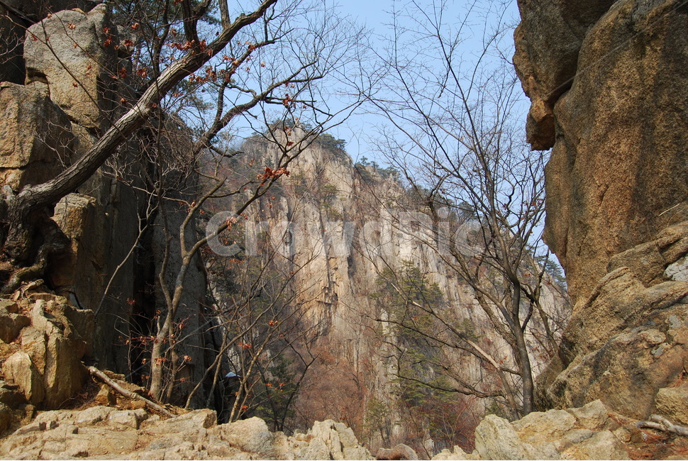 바위,rock,돌,stone,나무,가을,계절,fall,autumn,season,자연,풍경,nature,landscape,한국자연풍경,한국자연경관,korea nature landscape,outdoors,옥외,plant,식물,tree
