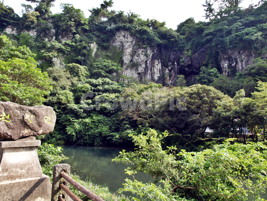 천지연폭포,하천,서귀포시,제주,숲,자연,절벽,자연,풍경,nature,landscape,water,물,outdoors,옥외,vegetation,초목,plant,식물
