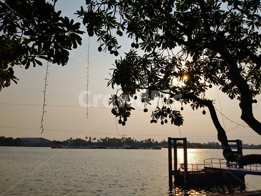 water,물,waterfront,워터프론트,라임,호수,lime,lake