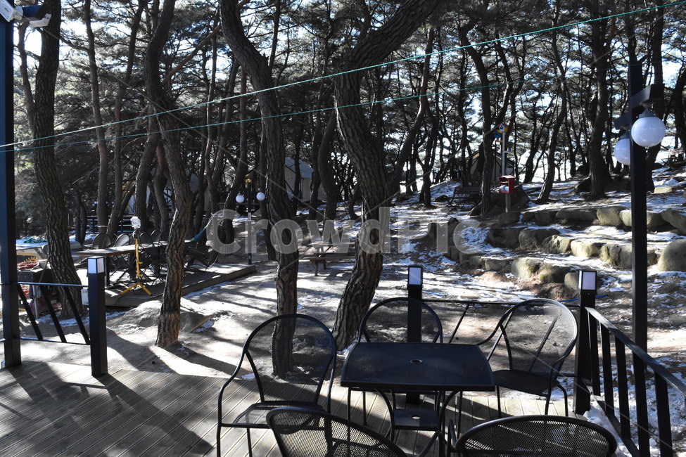 겨울,숲,산,눈,겨울산,캠핑,캠핑장,winter,forest,camping,tree,snow,mountain,cold,겨울,계절,winter,season,자연,풍경,nature,landscape,restaurant,레스토랑,chair,의자