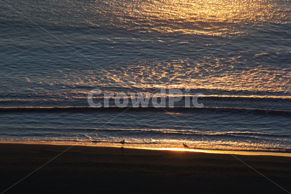 물결,햇빛,백사장,갈매기,바다,자연,풍경,nature,landscape,ocean,대양,sea,water,물,outdoors,옥외