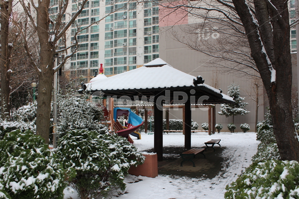 눈,겨울,겨울풍경,겨울아침,계절,풍경,분위기,색감,landscape,winter,snow,snowing
