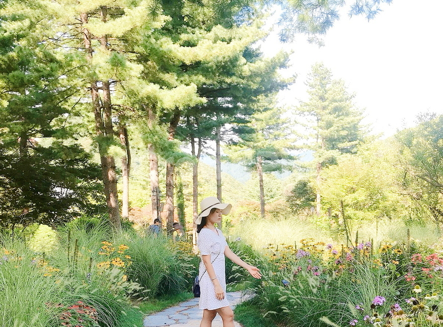 여자,꽃밭,공원,여행,예쁜여자,소풍,나들이,햇살,사람,인물,인간,human,person,여성,여자,woman,female,lady