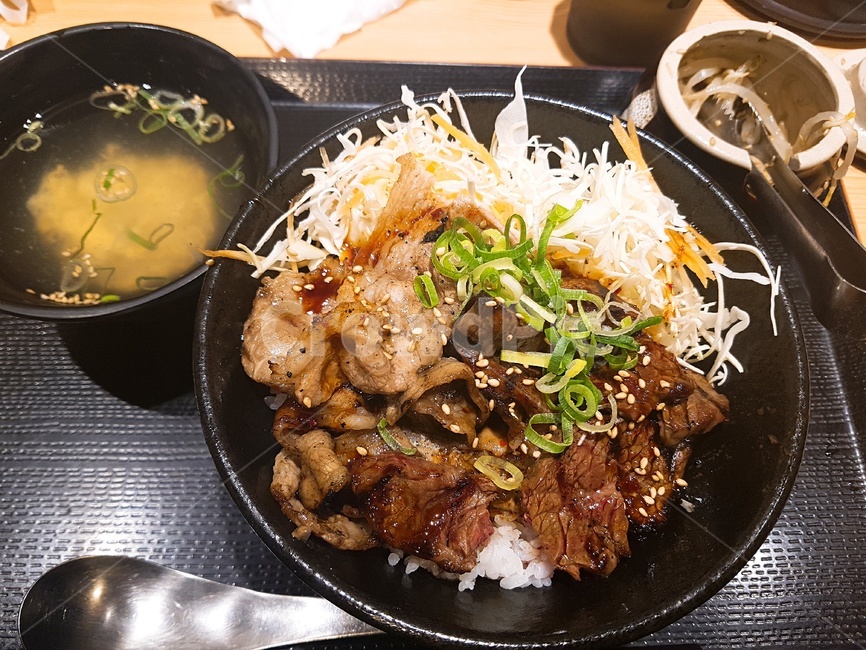 일본,오사카,고기,덮밥,음식
