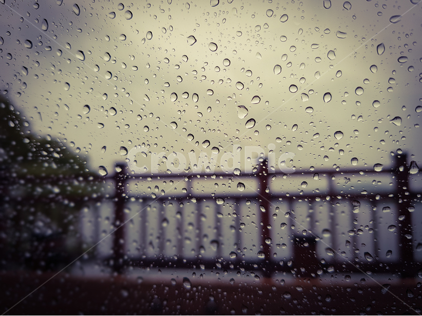 비,호수,물방울,빗방울,유리창,감성,rain,river,water,scenery,비,비오는날,rain,rainy