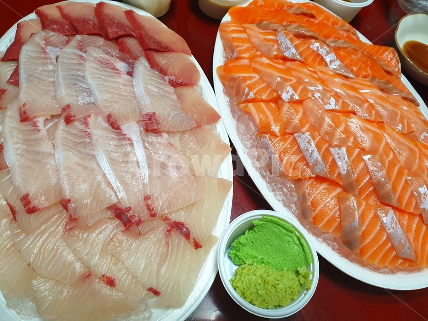 연어,회,대방어,방어,안주,와사비,요리,음식,식재료,요리,food,cook,meal,dishes,food reserves,수산물,해산물,fishery products,seafood