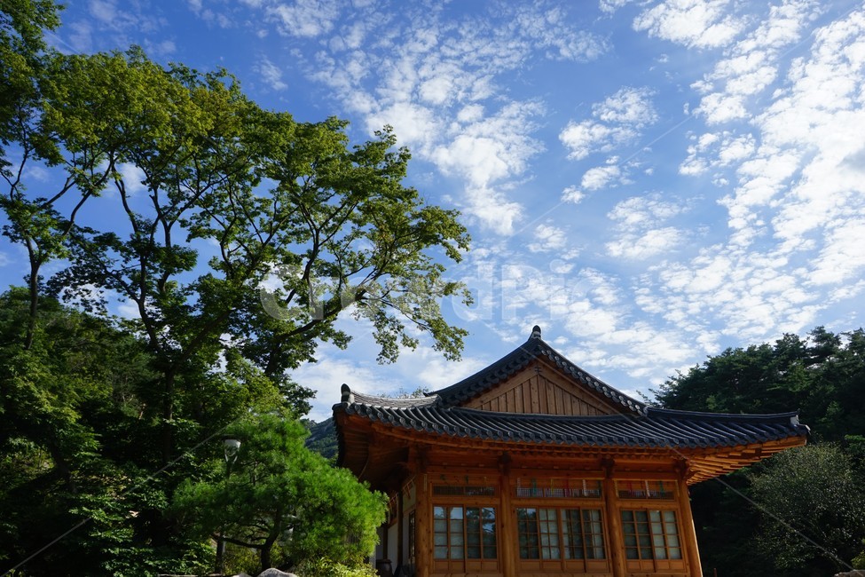 하늘,구름,한옥,푸른하늘,자연,풍경,진관사,가을,계절,처마지붕,기와,기와지붕,전통건축,나뭇잎,전통,고건축,한국의미,사찰,절,처마,한국전통건축,비구니,도량,종교,불교,기와집,지붕,패턴,배경,전통적인,한국의,construction,한국전통,한국문화,koreantraditional,koreanculture,건축물,건물외관,exterior,building,structure,architecture,가람,종교시설