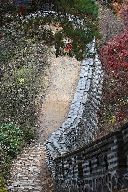남한산성,성,성곽,단풍,낙엽,길,둘레길,숲,숲길,담,돌담,가을,자연,풍경,벽,울긋불긋,산성,식물,가을,계절,fall,autumn,season