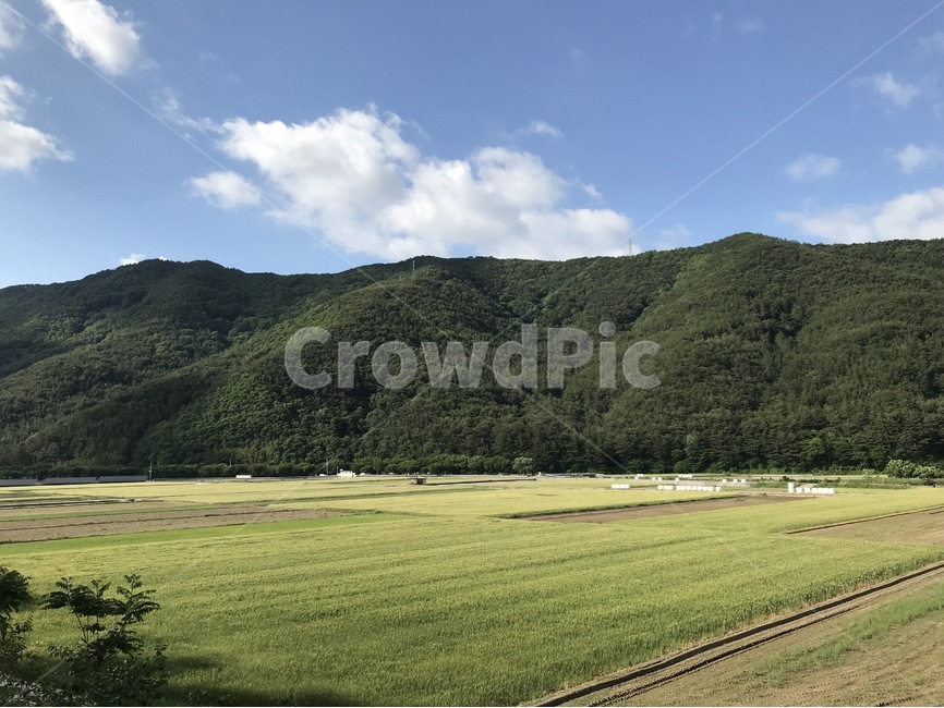 자연,풍경,산,하늘,맑은하늘,시골,봄,자연,풍경,nature,landscape,outdoors,옥외