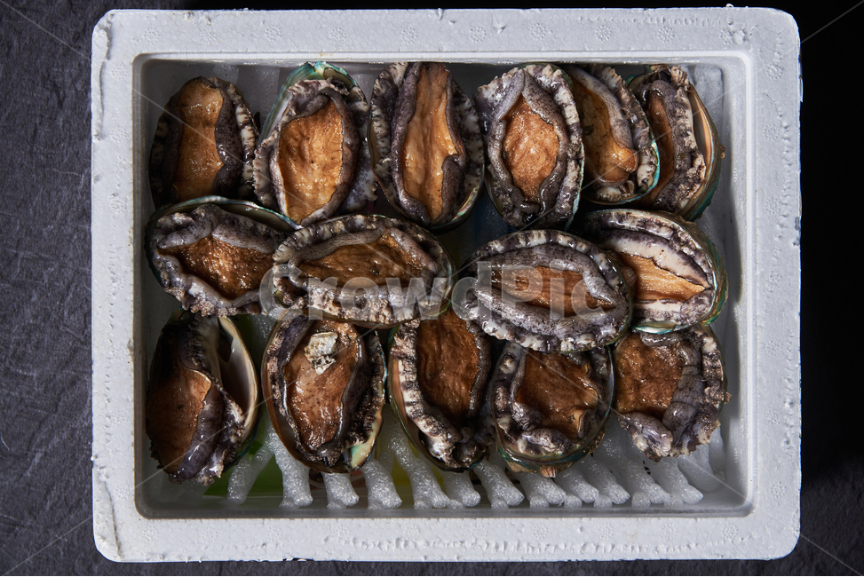 전복,seafood,해산물,clam,갑각류,음식,식재료,요리,food,cook,meal,dishes,food reserves,수산물,해산물,fishery products,seafood