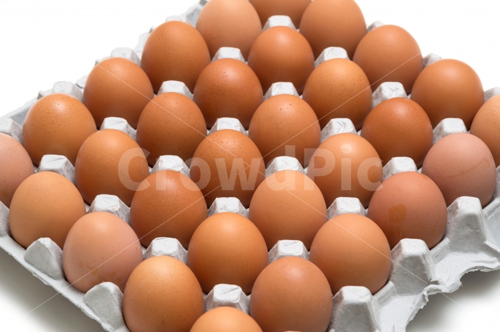 달걀,계란,음식재료,식재료,다이어트,누끼,요리재료,바탕,배경,이미지,배경이미지,단백질,컨셉,컨셉트,콘셉,콘셉트,음식,음식물,요리,식량,식료품,신선한,프레쉬,후레쉬,식자재,생명,프로틴,하얀,흰,흰색,화이트,농업,영양,유기농,항생제,껍데기,생활,식생활,헬스,식단,신선,영양분,음식,식재료,요리,food,cook,meal,dishes,food reserves,누끼,remove background