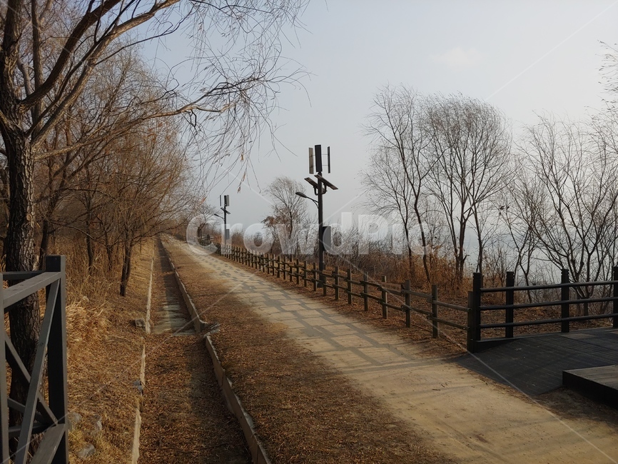 노을공원,상암동,월드컵공원,난지공원,한강공원,겨울,나목,잔가지,dirtroad,흙길