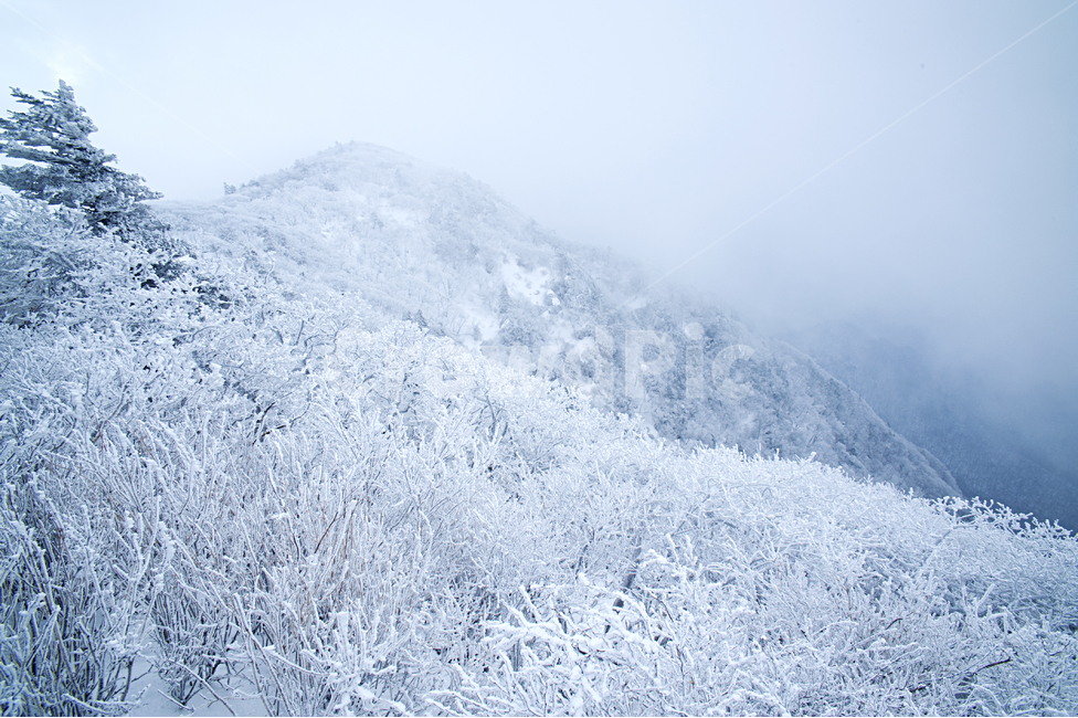 덕유산,구름,눈,눈꽃,정상