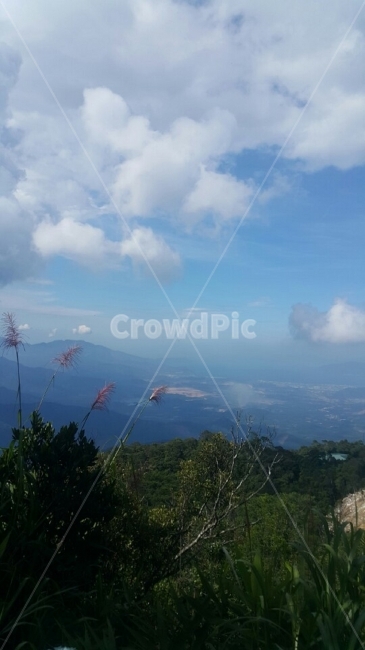 풍경,자연,구름,산,정상,높은곳,내려다보다,아름다운,녹색,scenery,nature,cloud,sky,하늘,high,top,see,view,beautiful,green,자연,풍경,nature,landscape,outdoors,옥외,weather,날씨