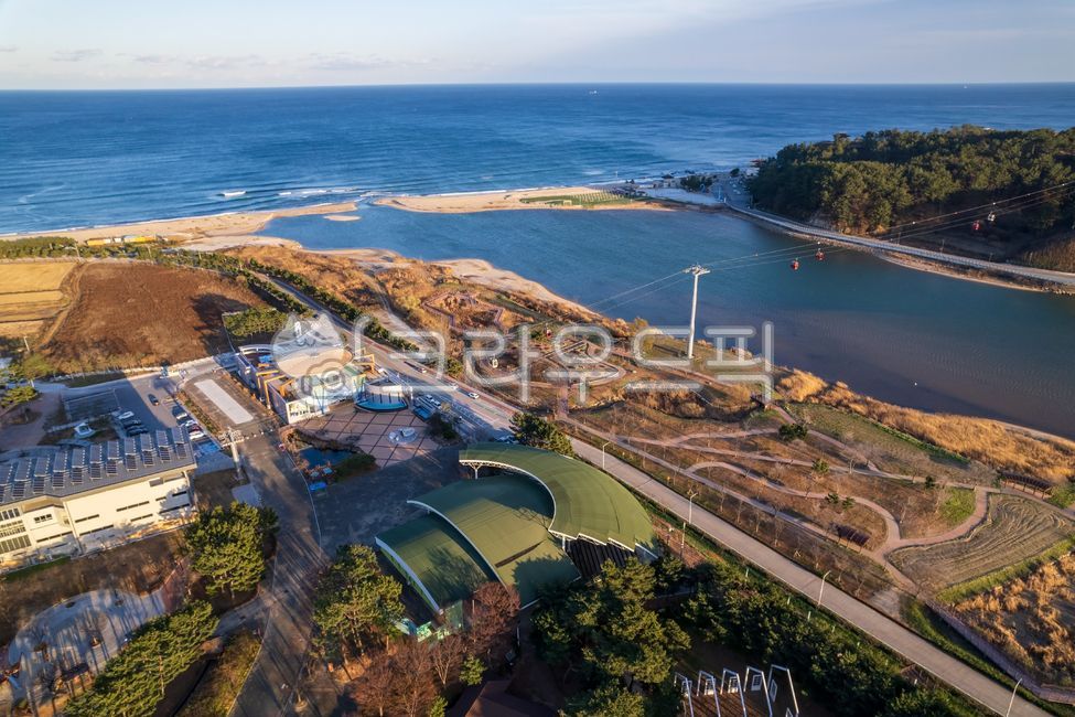 ocean,Uljin,Uljingun,Wangpicheon,river,autumn,Wangpicheon Park,water,park