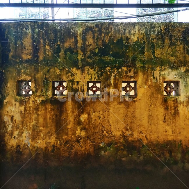 벽,wall,장식,문양,art
