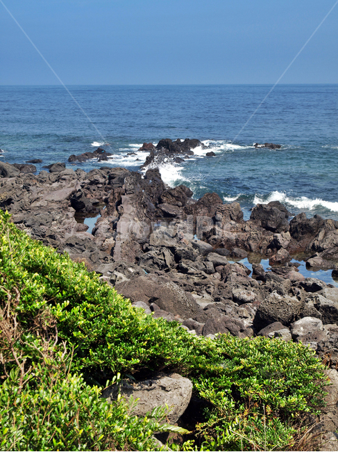 신천리해변,올레3코스,올레,제주,서귀포,바다,자연,풍경,nature,landscape,한국자연풍경,한국자연경관,korea nature landscape,제주도,jeju,jeju island,promontory,곶