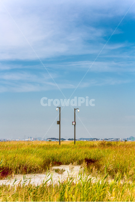 우움도,갈대,습지,휴식,풍경,구름,감성,가로등,자연,풍경,nature,landscape,한국자연풍경,한국자연경관,korea nature landscape,outdoors,옥외,land,땅