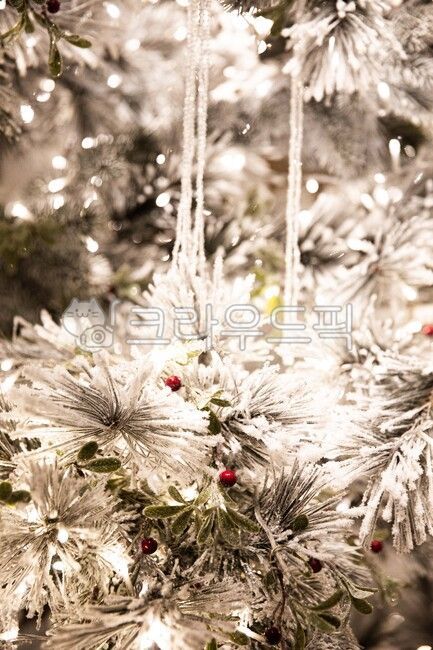 흰눈,흰색,하얀색,흰눈꽃,하얀크리스마스,트리,성탄절,크리스마스트리,whitesnow,white,whitesnowflake,whitechristmas,tree,christmas,christmastree,겨울,계절,winter,season,메리크리스마스,성탄절,merry christmas